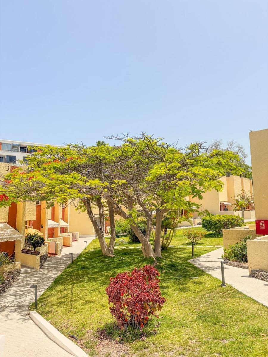 El Cortijo bungalo