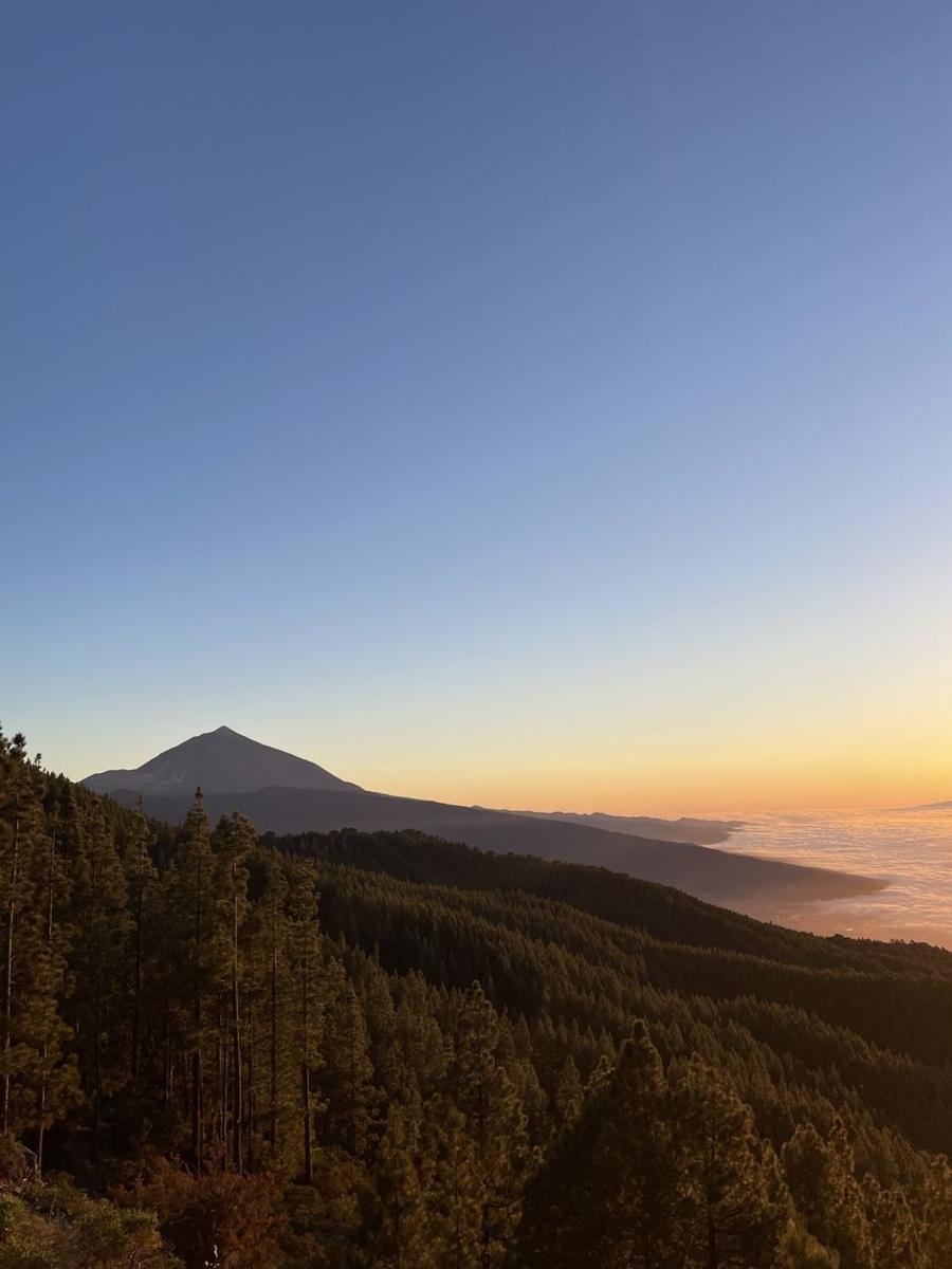 Teide saulrietā